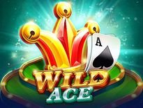 wild-ace-imagebanner